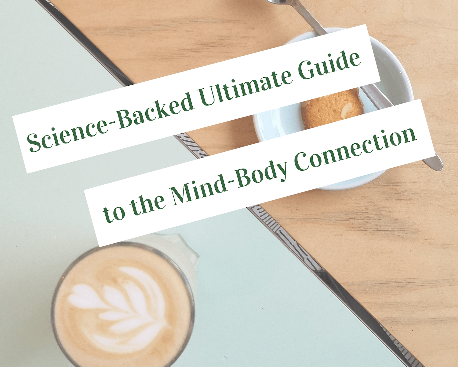 ultimate guide to the mind-body connection featured image