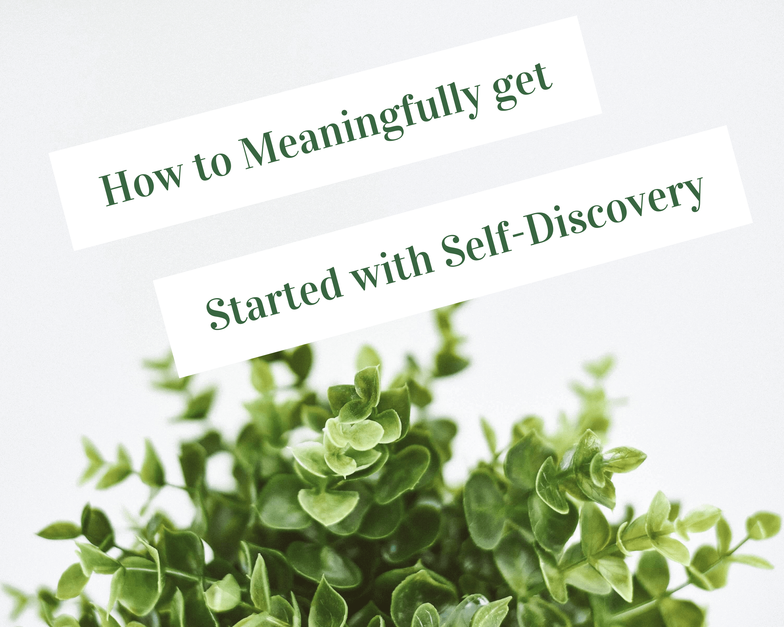 How to meaningfully get started with self-discovery