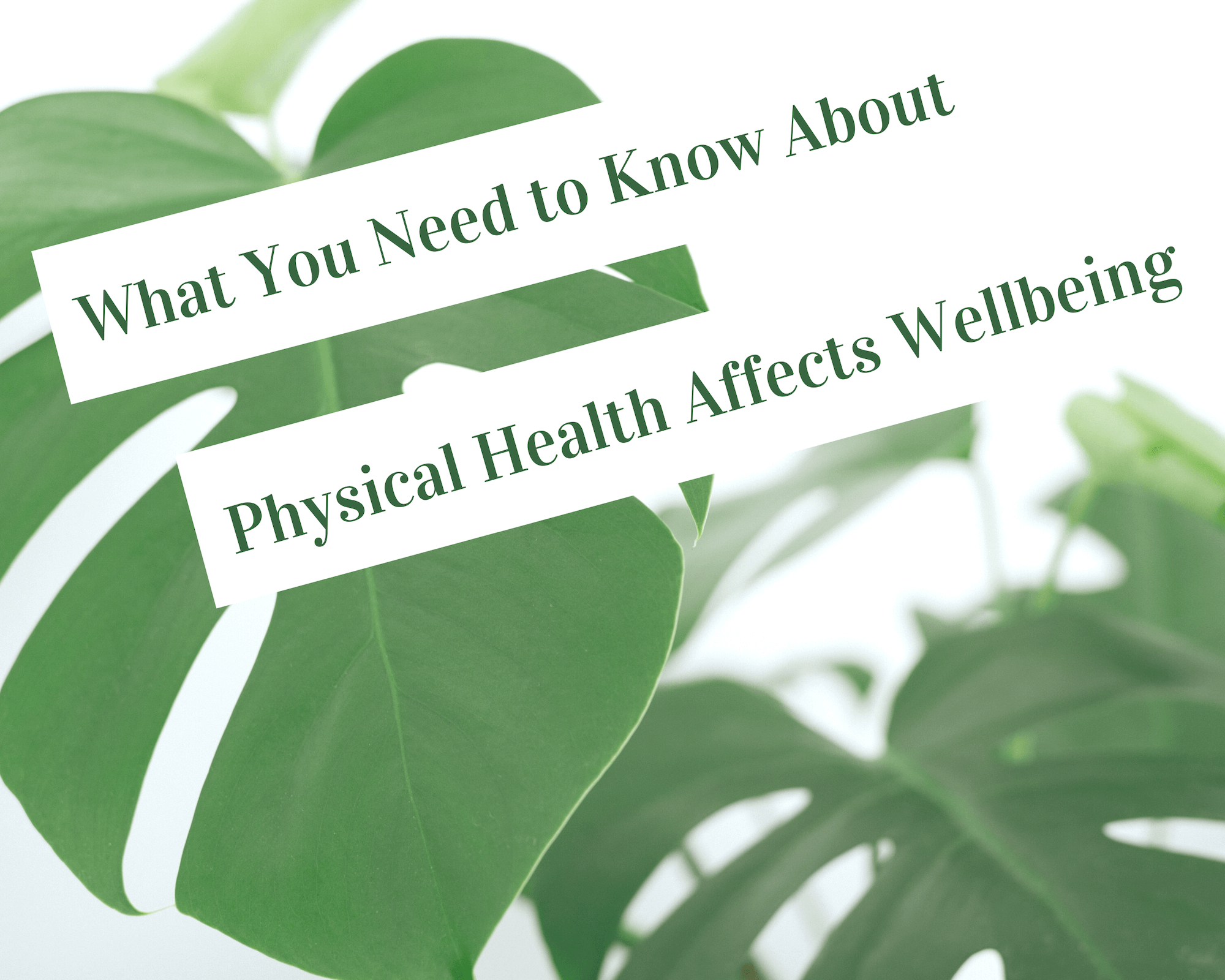 What you need to know about physical health affects wellbeing